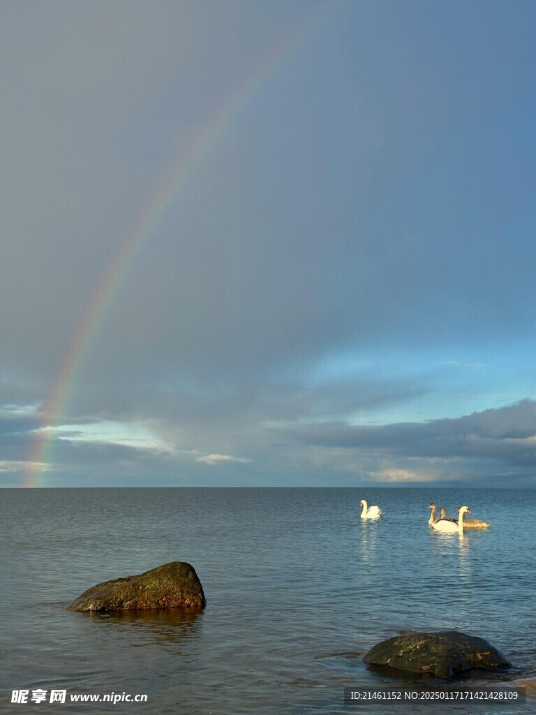 海水