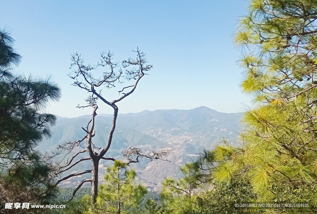 锦绣青山