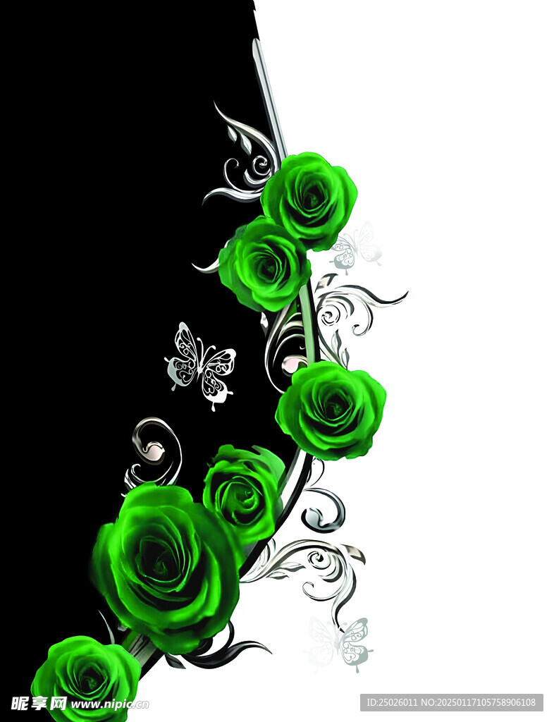 绿色玫瑰花
