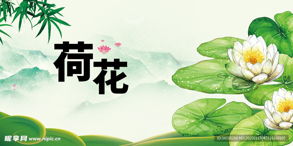 荷花