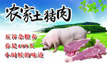 猪肉