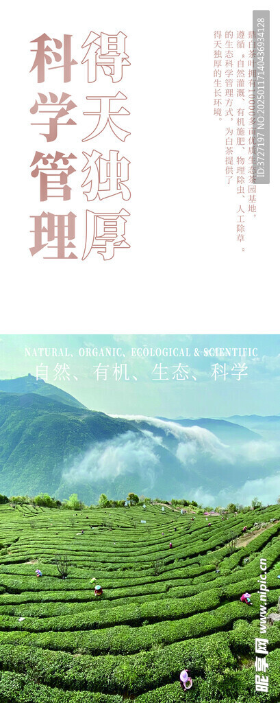 鼎白 科学管理