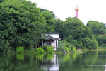 公园 