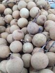 桂圆 