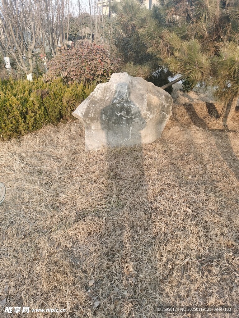 观赏石