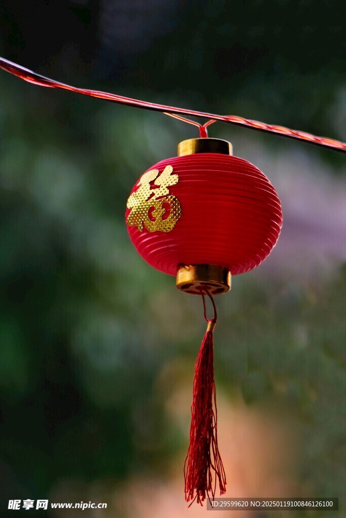 灯笼  