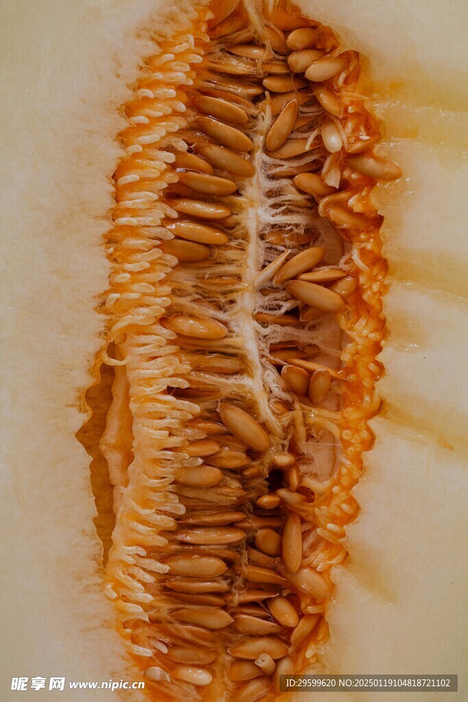 哈密瓜  