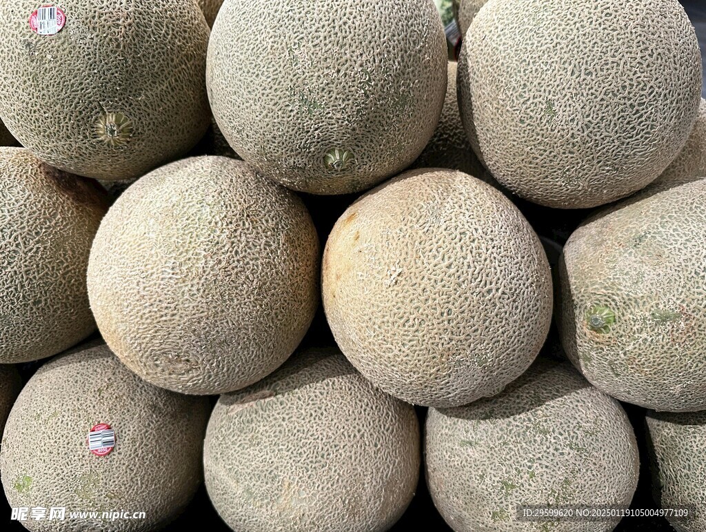 哈密瓜  