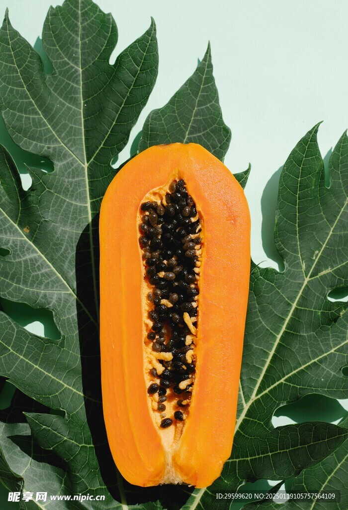 木瓜  