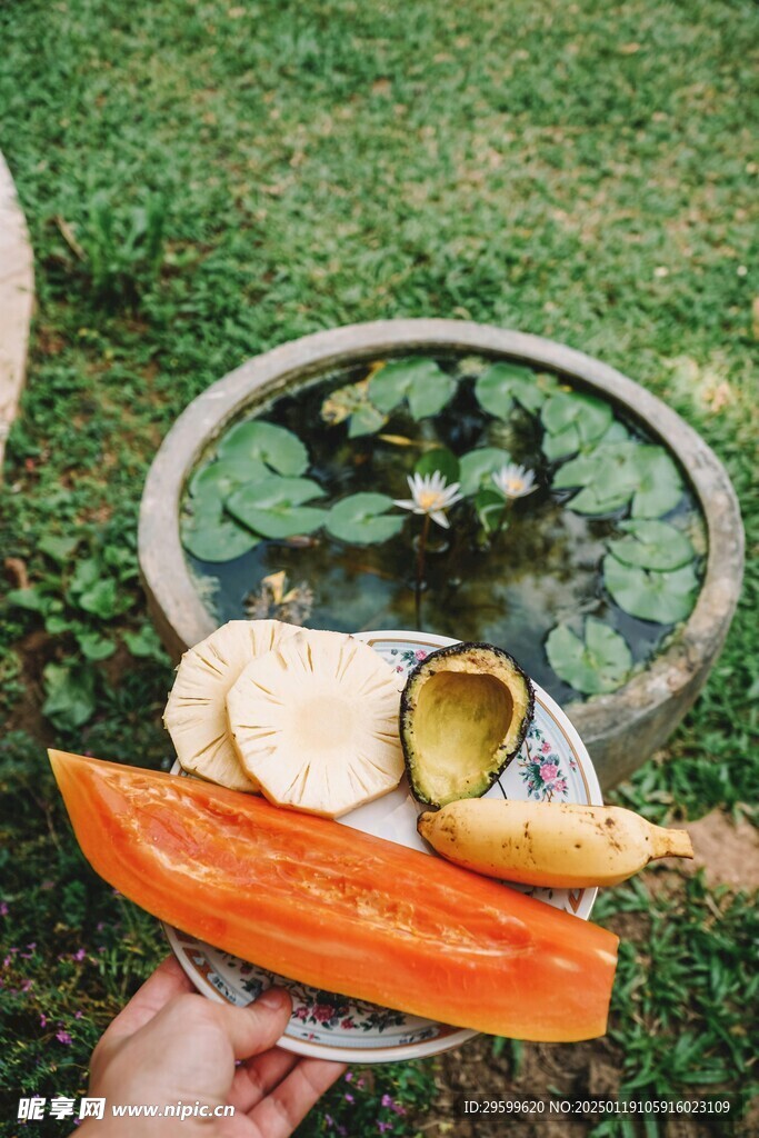木瓜 