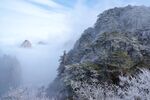 安徽黄山雪景树挂图片