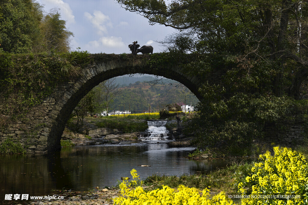 安徽绩溪家朋油菜花风景图片