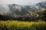 安徽石潭油菜花风景图片