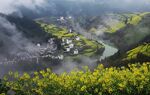 安徽石潭油菜花风景图片