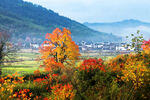 安徽塔川秋色风景图片