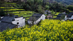 安徽休宁风景图片