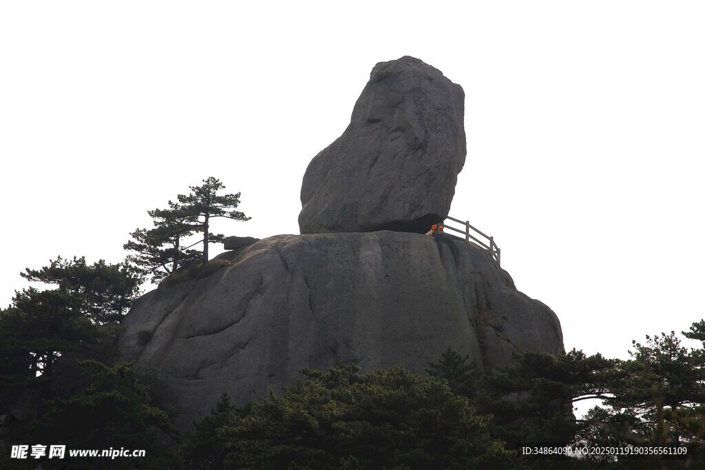 黄山奇松图片