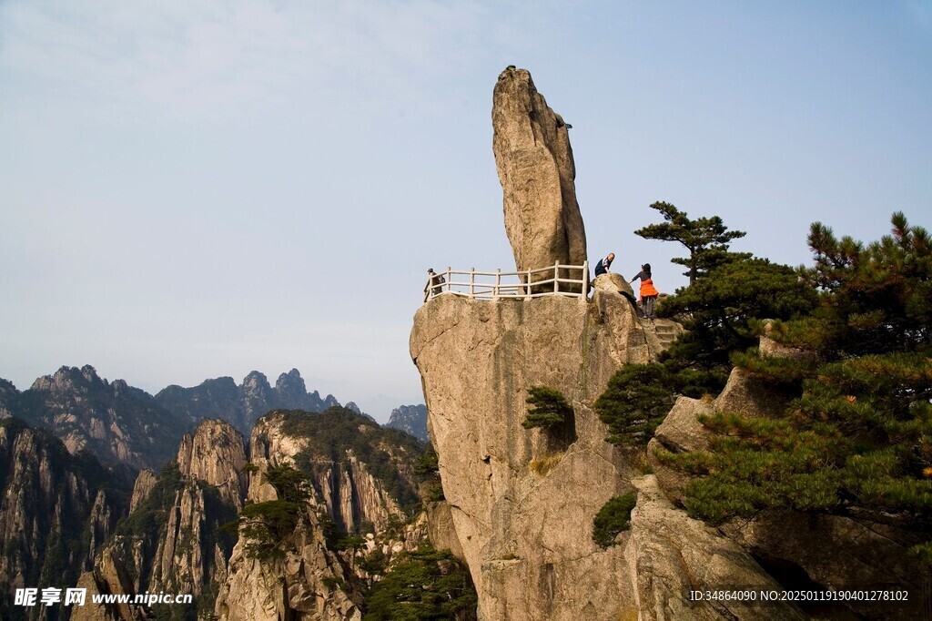 黄山奇松图片
