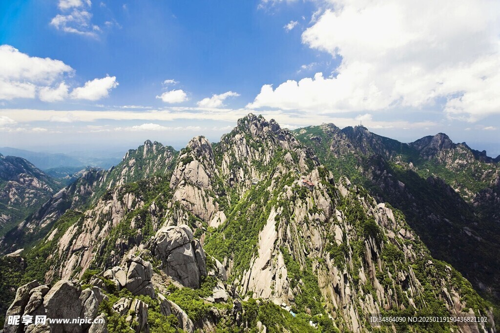 黄山奇松图片