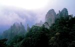 黄山云海图片