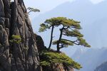 巍峨的安徽黄山自然风景图片