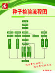 种子检验流程图