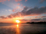 奥克兰海边夕阳风景