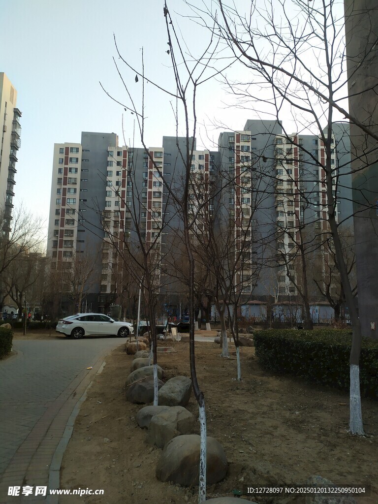 高楼大厦 