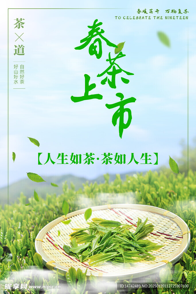 春茶上市