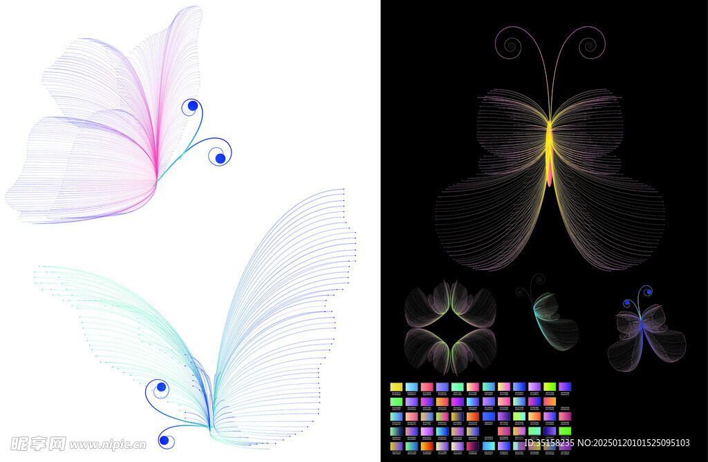 线条蝴蝶绚丽彩色蝴蝶