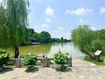瘦西湖一角