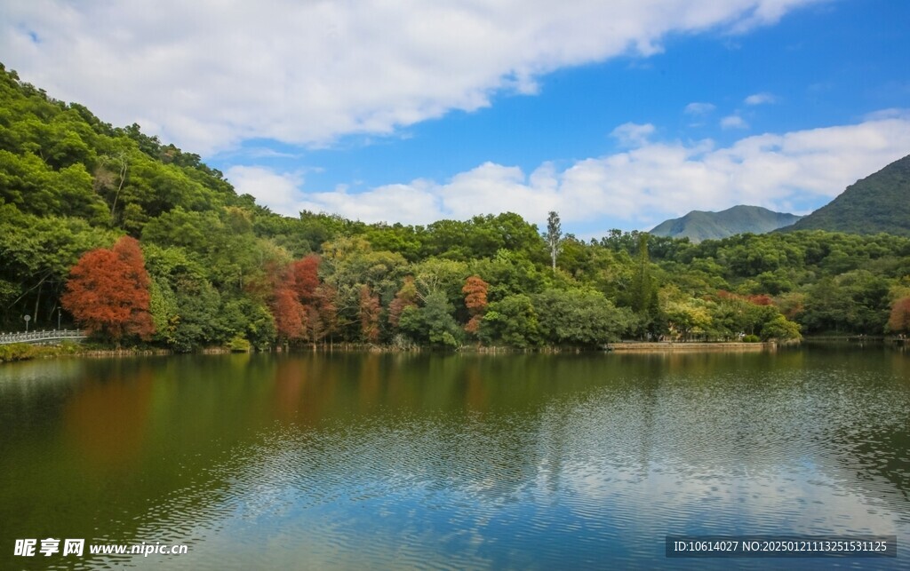  仙湖植物园