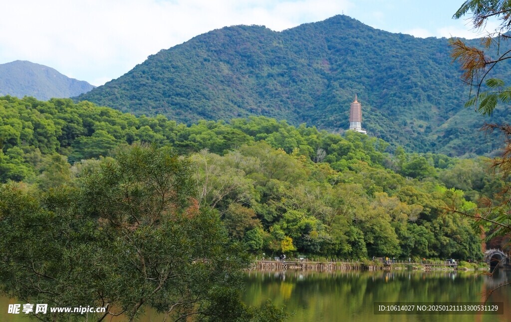  仙湖植物园