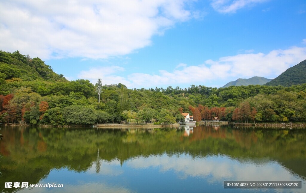  仙湖植物园