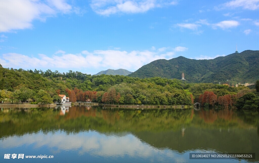  仙湖植物园