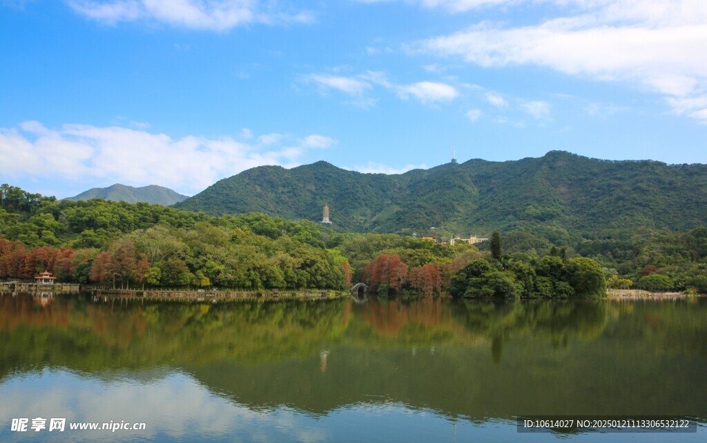  仙湖植物园