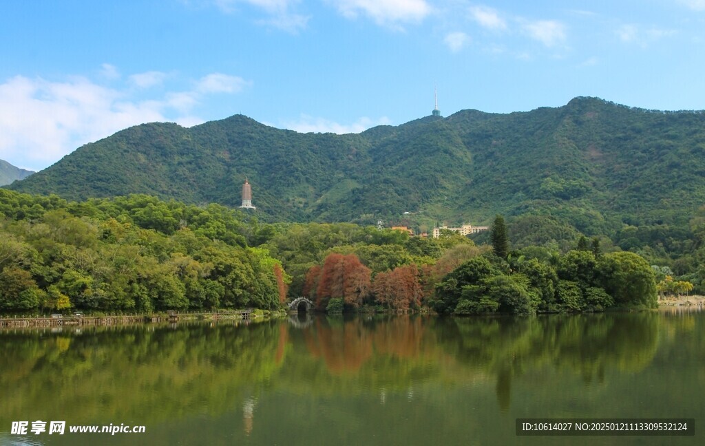  仙湖植物园