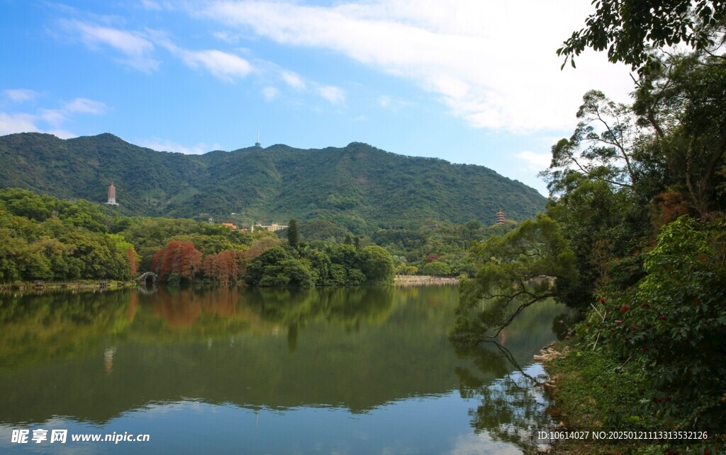  仙湖植物园