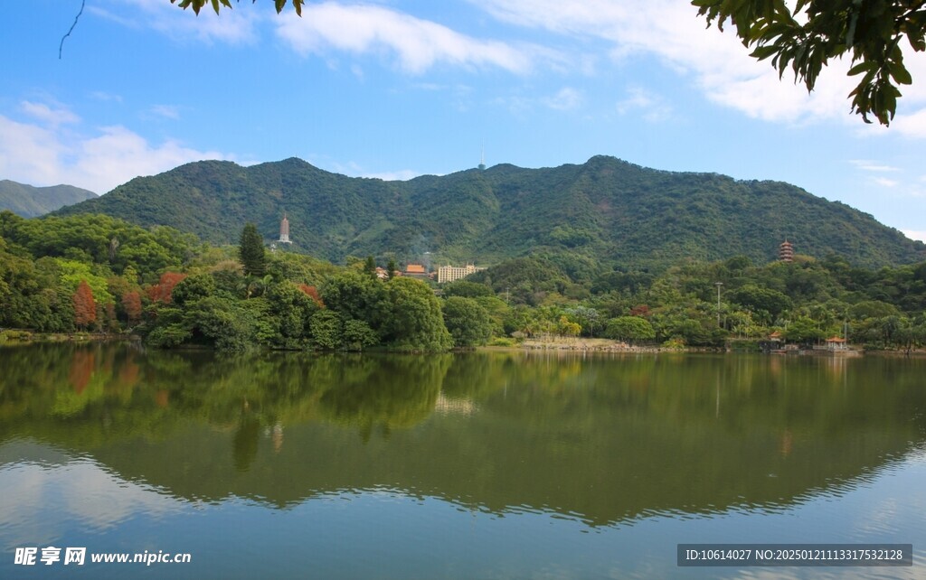  仙湖植物园