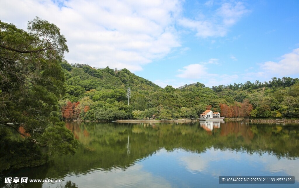  仙湖植物园