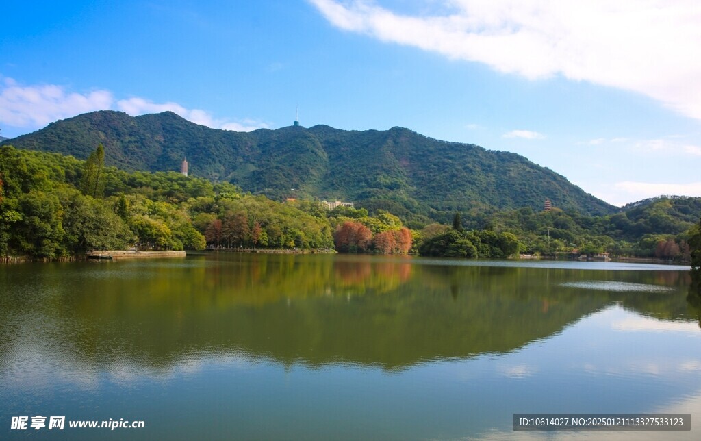  仙湖植物园