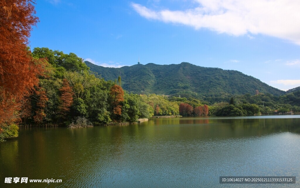  仙湖植物园