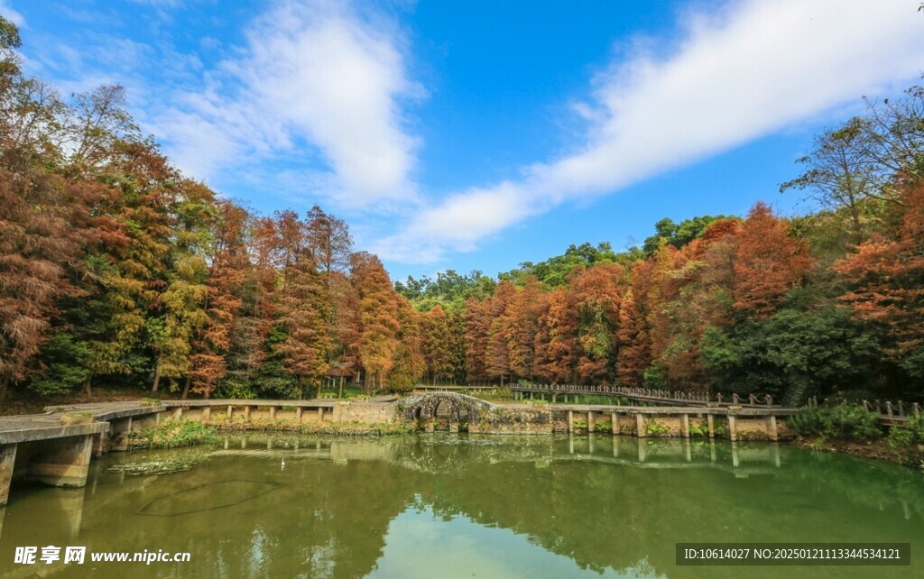  仙湖植物园