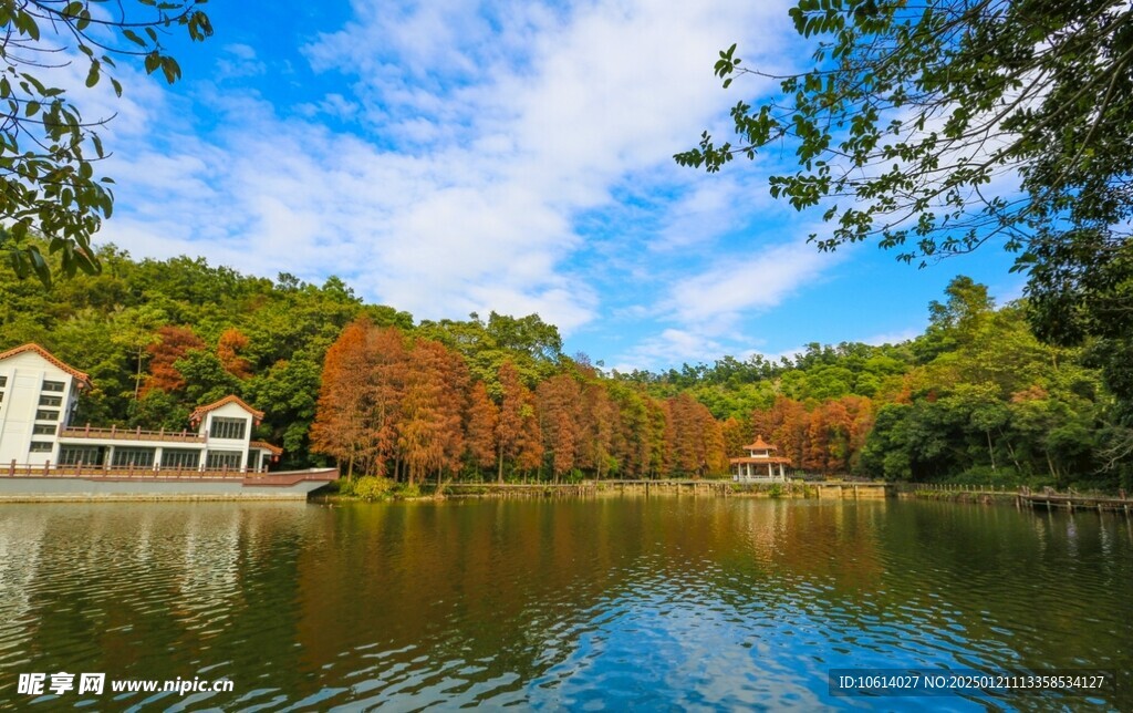  仙湖植物园