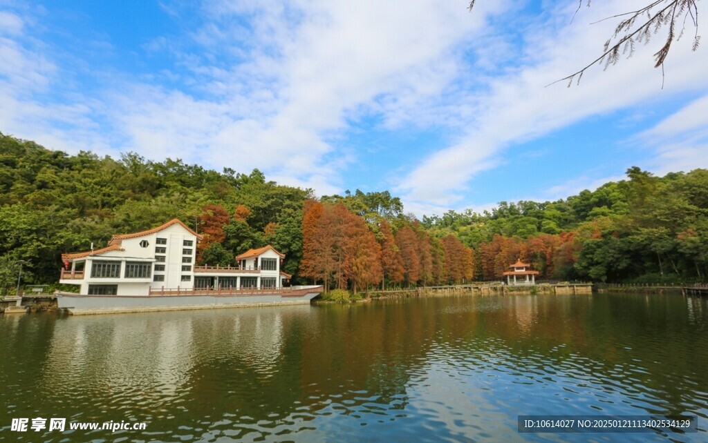  仙湖植物园