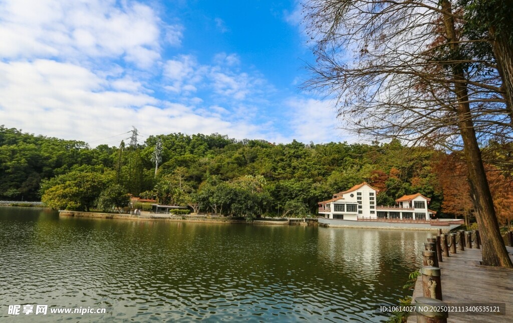  仙湖植物园