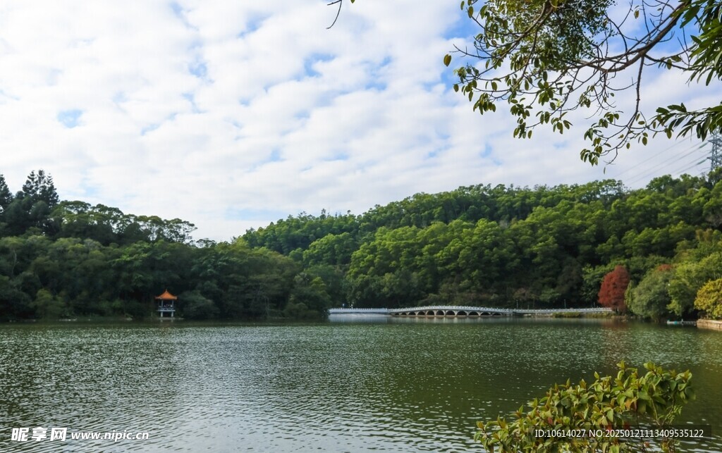  仙湖植物园