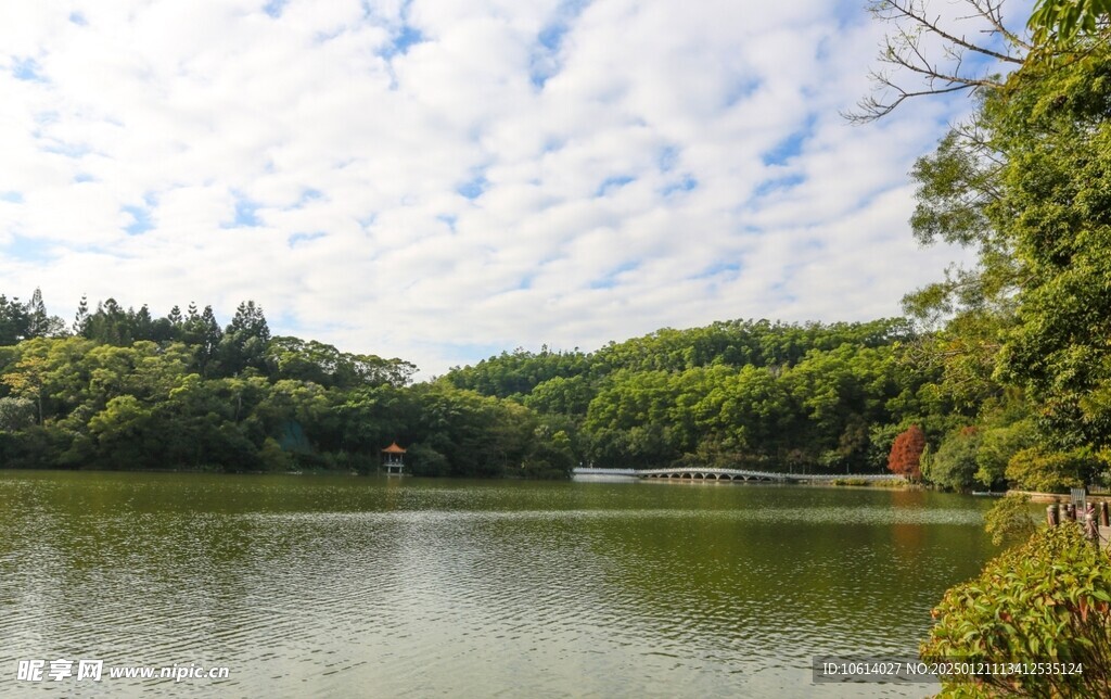  仙湖植物园