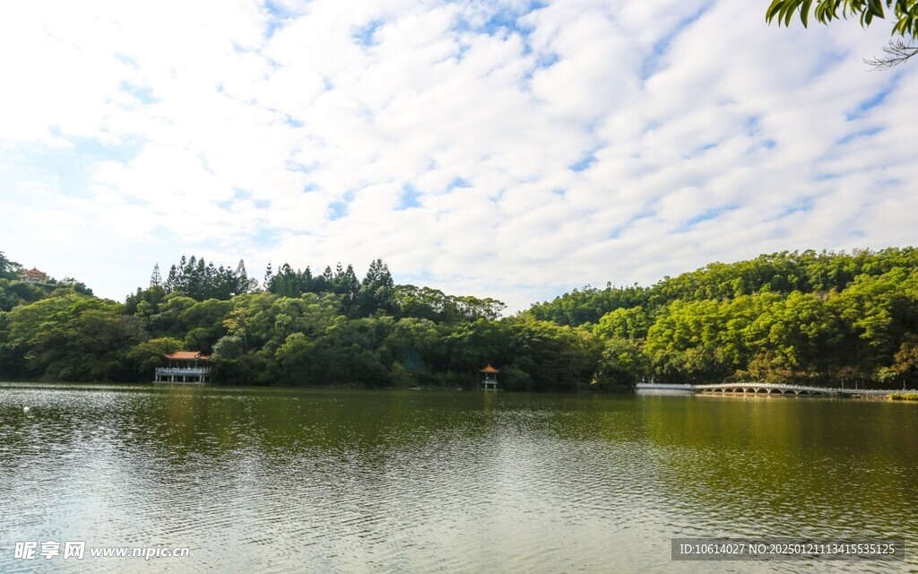  仙湖植物园