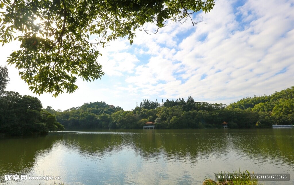  仙湖植物园